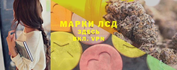 гидропоника Алзамай
